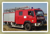 L�schgruppenfahrzeug
LF16 / TS8